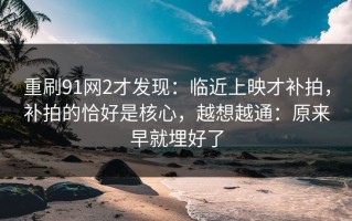 重刷91网2才发现：临近上映才补拍，补拍的恰好是核心，越想越通：原来早就埋好了