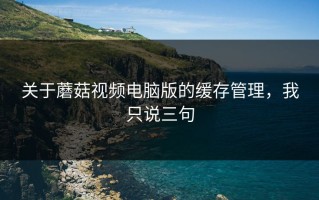 关于蘑菇视频电脑版的缓存管理，我只说三句