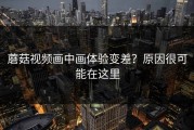 蘑菇视频画中画体验变差？原因很可能在这里