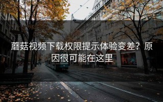 蘑菇视频下载权限提示体验变差？原因很可能在这里