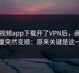 蘑菇视频app下载开了VPN后，画质与流量突然变顺：原来关键是这一项