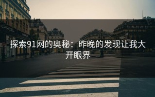 探索91网的奥秘：昨晚的发现让我大开眼界