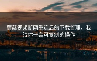 蘑菇视频断网重连后的下载管理，我给你一套可复制的操作