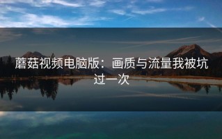 蘑菇视频电脑版：画质与流量我被坑过一次