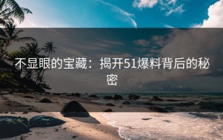 不显眼的宝藏：揭开51爆料背后的秘密