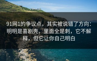 91网1的争议点，其实被说错了方向：明明是喜剧壳，里面全是刺，它不解释，但它让你自己明白
