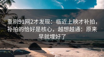 重刷91网2才发现：临近上映才补拍，补拍的恰好是核心，越想越通：原来早就埋好了