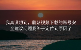 我真没想到，蘑菇视频下载的账号安全建议问题我终于定位到原因了