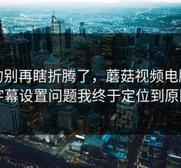 真的别再瞎折腾了，蘑菇视频电脑版的字幕设置问题我终于定位到原因了