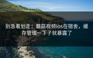 别急着划走：蘑菇视频ios在宿舍，缓存管理一下子就暴露了