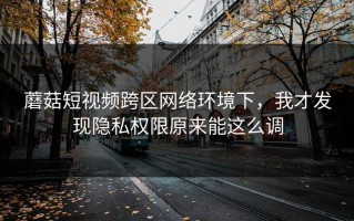 蘑菇短视频跨区网络环境下，我才发现隐私权限原来能这么调