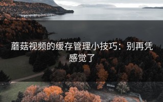 蘑菇视频的缓存管理小技巧：别再凭感觉了