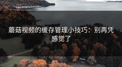 蘑菇视频的缓存管理小技巧：别再凭感觉了