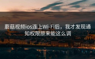 蘑菇视频ios连上Wi‑Fi后，我才发现通知权限原来能这么调