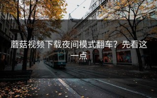 蘑菇视频下载夜间模式翻车？先看这一点