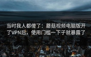当时我人都傻了：蘑菇视频电脑版开了VPN后，使用门槛一下子就暴露了