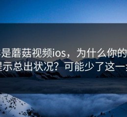 同样是蘑菇视频ios，为什么你的权限提示总出状况？可能少了这一步
