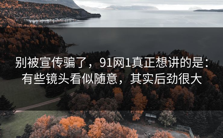 别被宣传骗了，91网1真正想讲的是：有些镜头看似随意，其实后劲很大-第1张图片-蘑菇视频ios - 苹果用户专属高清APP