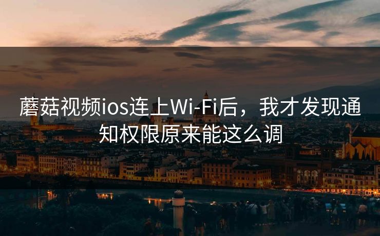 蘑菇视频ios连上Wi‑Fi后，我才发现通知权限原来能这么调-第1张图片-蘑菇视频ios - 苹果用户专属高清APP