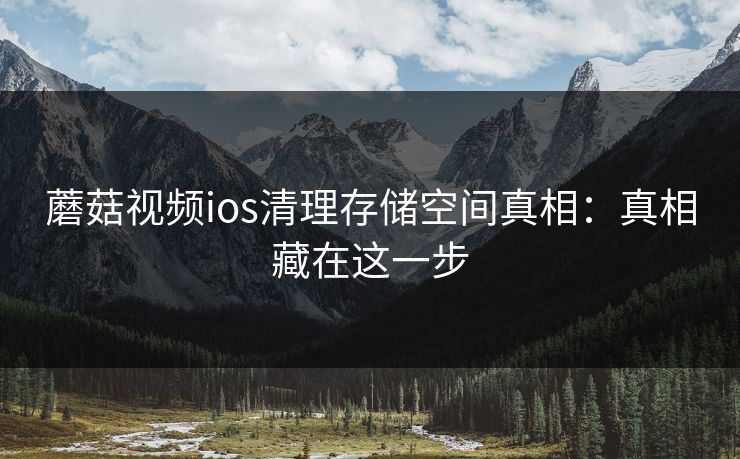 蘑菇视频ios清理存储空间真相：真相藏在这一步-第1张图片-蘑菇视频ios - 苹果用户专属高清APP
