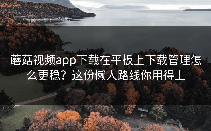 蘑菇视频app下载在平板上下载管理怎么更稳？这份懒人路线你用得上-第1张图片-蘑菇视频ios - 苹果用户专属高清APP