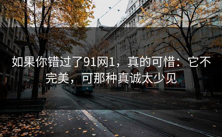 如果你错过了91网1，真的可惜：它不完美，可那种真诚太少见