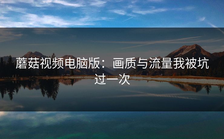 蘑菇视频电脑版：画质与流量我被坑过一次