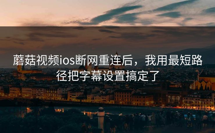 蘑菇视频ios断网重连后，我用最短路径把字幕设置搞定了