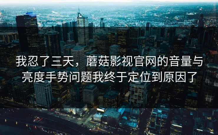 我忍了三天，蘑菇影视官网的音量与亮度手势问题我终于定位到原因了