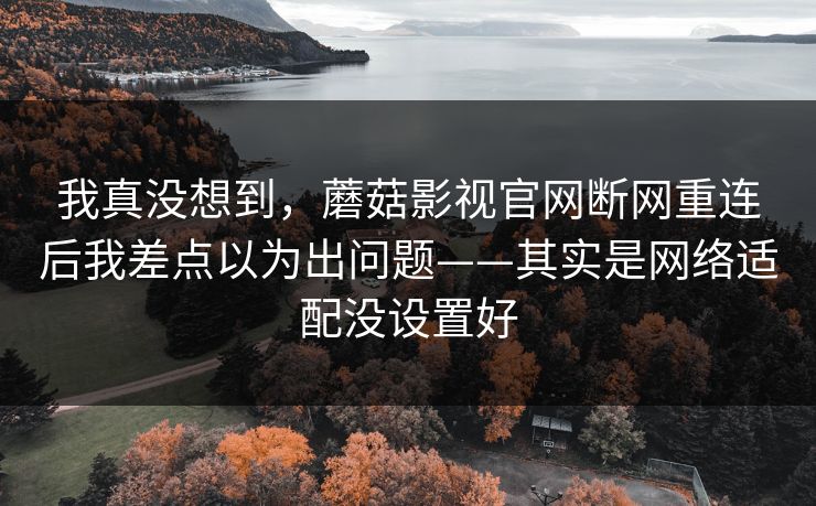 我真没想到，蘑菇影视官网断网重连后我差点以为出问题——其实是网络适配没设置好