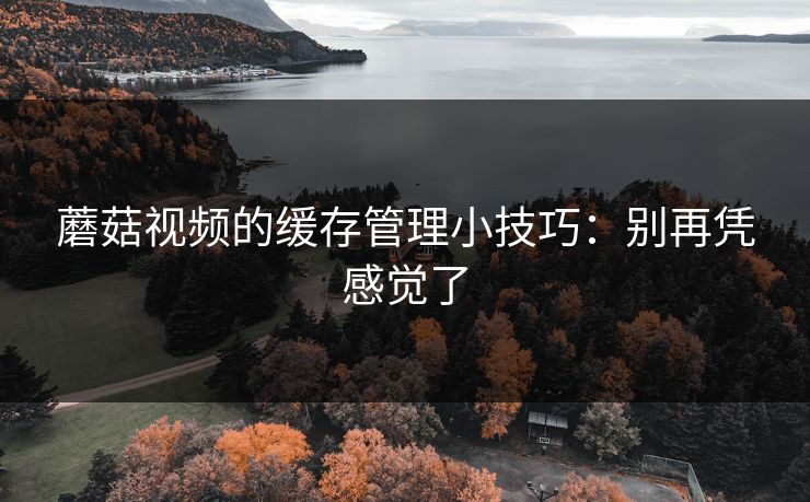 蘑菇视频的缓存管理小技巧：别再凭感觉了-第1张图片-蘑菇视频ios - 苹果用户专属高清APP