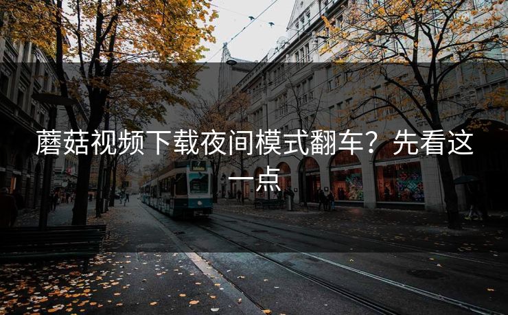 蘑菇视频下载夜间模式翻车？先看这一点-第1张图片-蘑菇视频ios - 苹果用户专属高清APP