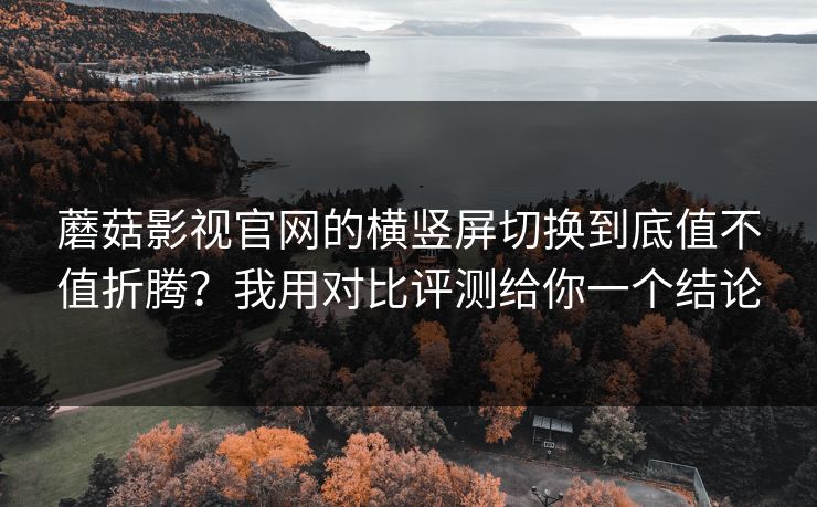蘑菇影视官网的横竖屏切换到底值不值折腾？我用对比评测给你一个结论-第1张图片-蘑菇视频ios - 苹果用户专属高清APP