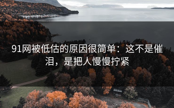 91网被低估的原因很简单：这不是催泪，是把人慢慢拧紧