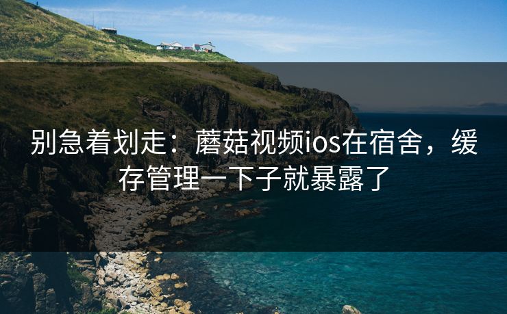 别急着划走：蘑菇视频ios在宿舍，缓存管理一下子就暴露了