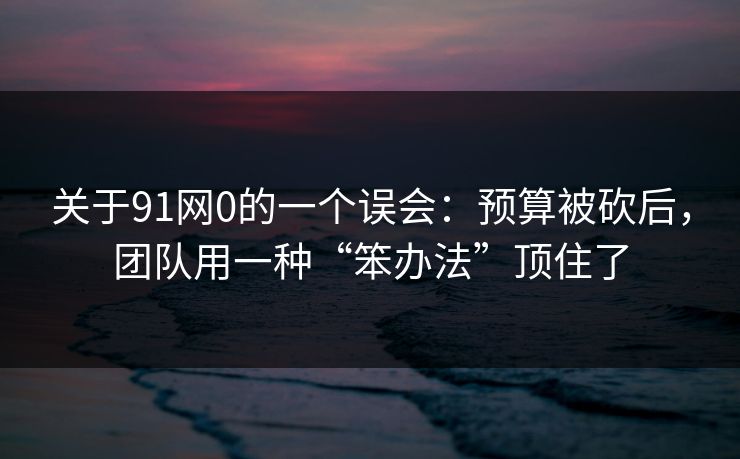 关于91网0的一个误会：预算被砍后，团队用一种“笨办法”顶住了
