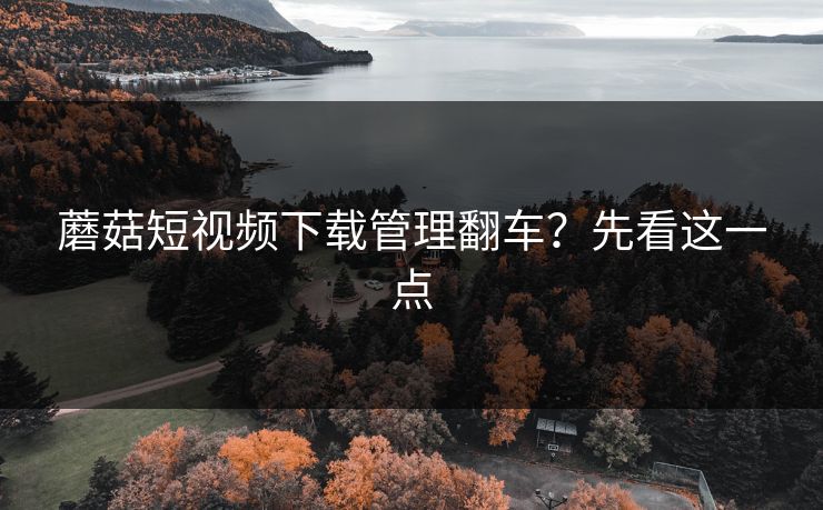 蘑菇短视频下载管理翻车？先看这一点