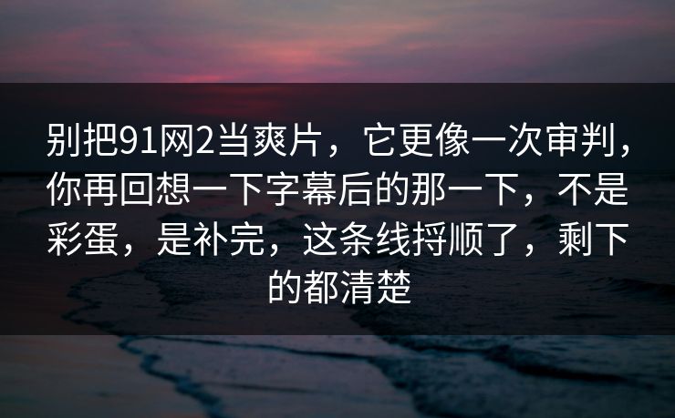 别把91网2当爽片，它更像一次审判，你再回想一下字幕后的那一下，不是彩蛋，是补完，这条线捋顺了，剩下的都清楚