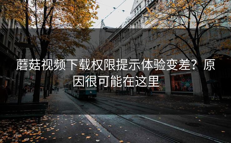 蘑菇视频下载权限提示体验变差?原因很可能在这里-第1张图片-蘑菇视频ios - 苹果用户专属高清APP 蘑菇视频下载权限提示体验变差?原因很可能在这里-第1张图片-蘑菇视频ios - 苹果用户专属高清APP