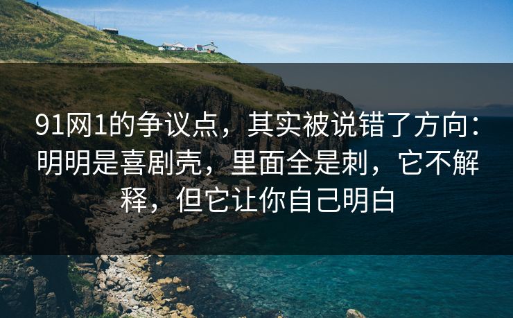 91网1的争议点，其实被说错了方向：明明是喜剧壳，里面全是刺，它不解释，但它让你自己明白-第1张图片-蘑菇视频ios - 苹果用户专属高清APP